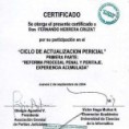 /album/certificados-internacionales/a13-ciclo-de-actualizacion-pericial-150x150-copia-jpg/